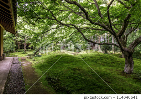 Saishoji Temple (Chikusei City, Ibaraki Prefecture), known for its moss garden Saishoji Temple (Chikusei City, Ibaraki Prefecture), known for its moss garden 114040641