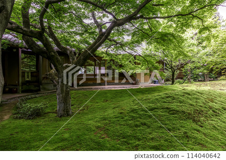 以苔蘚庭園聞名的西勝寺【茨城縣築西市】 114040642