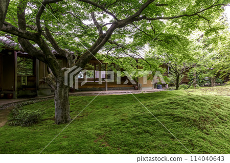 以苔蘚庭園聞名的西勝寺【茨城縣築西市】 114040643