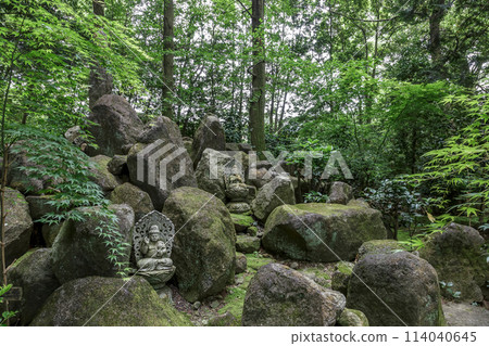 Saishoji Temple Thirteen Buddhas, known for its moss garden (Chikusei City, Ibaraki Prefecture) Saishoji Temple Thirteen Buddhas, known for its moss garden (Chikusei City, Ibaraki Prefecture) 114040645