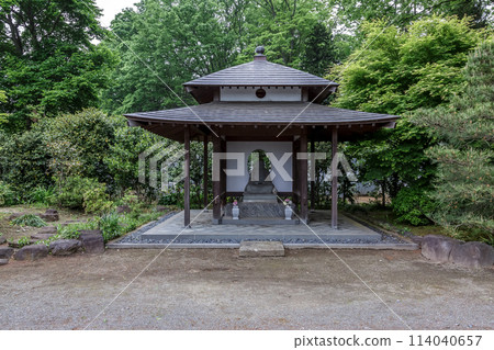 以苔蘚庭園聞名的西勝寺院內【茨城縣築西市】 以苔蘚庭園聞名的西勝寺院內【茨城縣築西市】 114040657