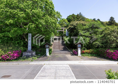 The large torii gate of Tokiwa Shrine, amid the lush greenery of spring [Ibaraki Prefecture] 114040701