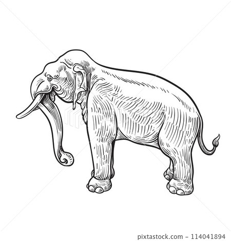 Thai elephant statue line drawing 114041894