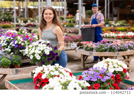 In flower shop, girl chooses ampel petunias Surfinia plant to decorate room, balcony, terrace 114042711
