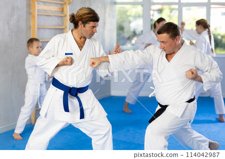 Two men at group training in gym practice karate punch block technique Two men at group training in gym practice karate punch block technique 114042987