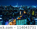 天空樹和夜視圖 114043731