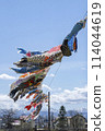 Carp streamers flying in the blue sky, Taiki Town, Hokkaido 114044619