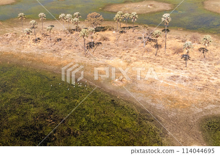 Aerial view of the Okavango Delta 114044695