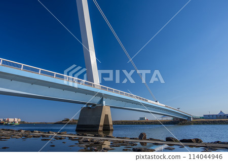 Kasai Rinkai Park Kasai Nagisabashi Bridge 114044946