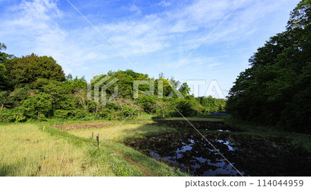 橫濱市戶塚區舞岡市舞岡故鄉公園的春天 114044959