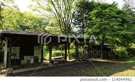 Spring at Maioka Furusato Park in Maioka, Totsuka Ward, Yokohama City 114044992