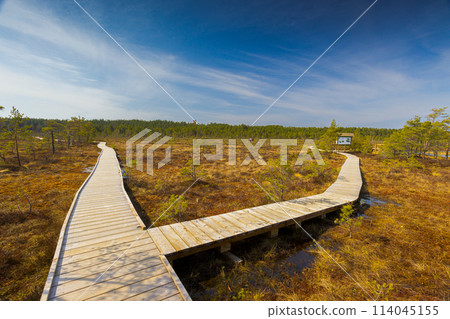 Viru Bog Viru Raba peat swamp, Estonia 114045155