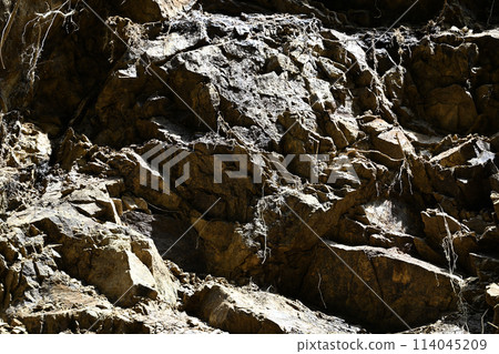 Rock face beside the forest road 114045209