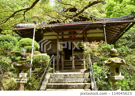京都市、山科書店（宗林院）和新鮮的綠色植物 114045623