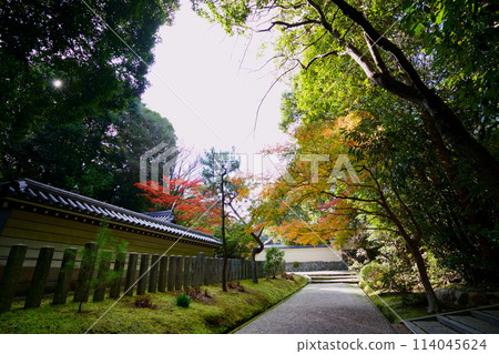 Autumn at Akishino-dera Temple: The Silent Approach 114045624