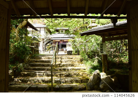 Kyoto City: The mountain gate, Fudo Hall and fresh greenery of Yamashina Shoten (Sourin-in) 114045626