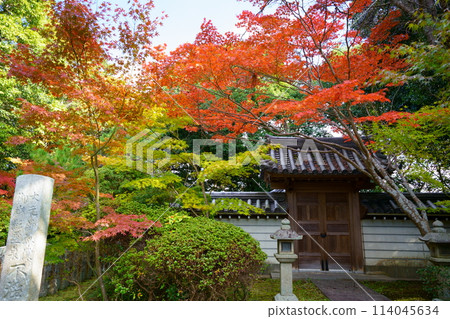 奈良/秋筱寺/屋頂上的紅葉 奈良/秋筱寺/屋頂上的紅葉 114045634