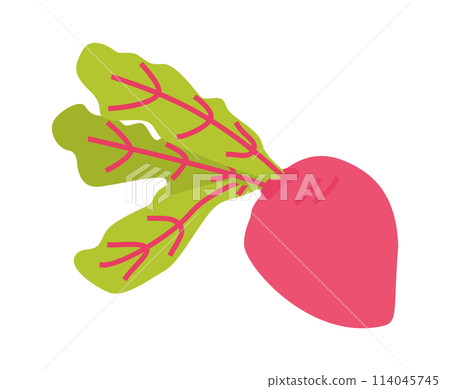 Red beet root illustration. Beetroot vector flat icon. Healthy food concept 114045745