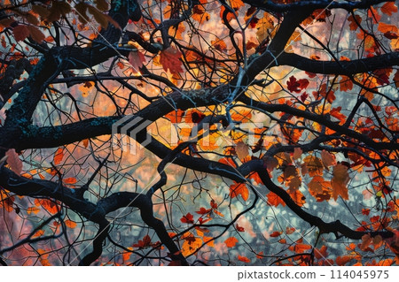Abstract Art of Autumn: Branches and Leaves 114045975