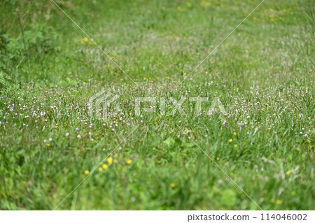 空地 空地 114046002