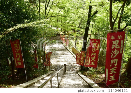 京都市山科毗沙門神社的參道與新鮮的綠化 京都市山科毗沙門神社的參道與新鮮的綠化 114046131