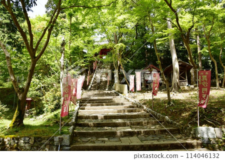 京都市山科毗沙門神社的參道與新鮮的綠化 京都市山科毗沙門神社的參道與新鮮的綠化 114046132