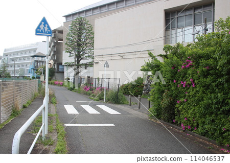 Road signs (pedestrian crossings) 114046537