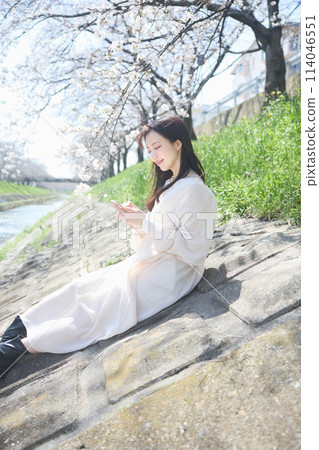 A woman looking at her smartphone under the cherry blossoms 114046551
