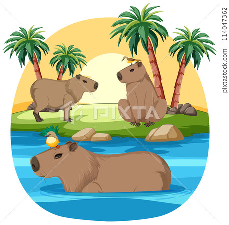 Capybaras Relaxing by Tropical River Capybaras Relaxing by Tropical River 114047362