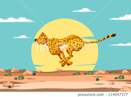Sprinting Cheetah in the Sunset Savannah 114047377