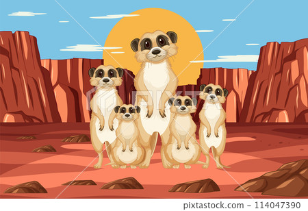 Meerkat Family in Desert Landscape Meerkat Family in Desert Landscape 114047390