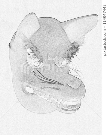 圖12 狐狸臉的狐狸賦予稻荷神的使者神力 圖12 狐狸臉的狐狸賦予稻荷神的使者神力 114047442