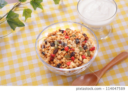 Fruit Granola Healthy Breakfast Fruit Granola Healthy Breakfast 114047589