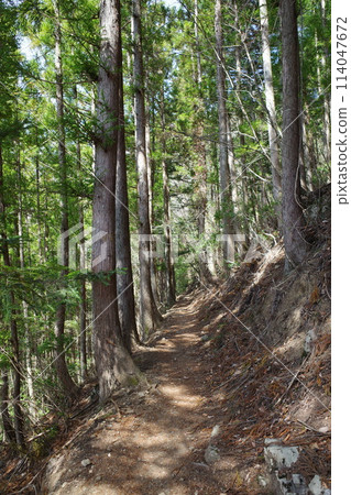 Ryokami mountain trail Ryokami mountain trail 114047672