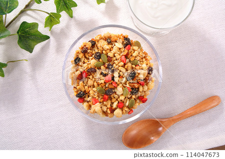 Fruit Granola Healthy Breakfast Fruit Granola Healthy Breakfast 114047673