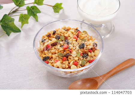 Fruit Granola Healthy Breakfast Fruit Granola Healthy Breakfast 114047703