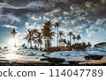 Abstract scene of upside down coconut trees with resort on rock beach reflecting on water surface. 114047789