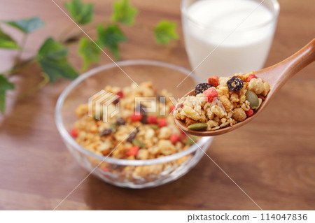 Fruit Granola Healthy Breakfast 114047836