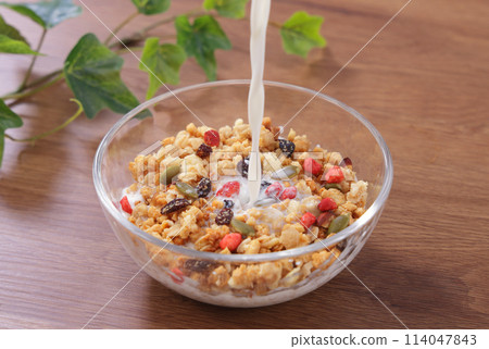 Fruit Granola Healthy Breakfast Fruit Granola Healthy Breakfast 114047843