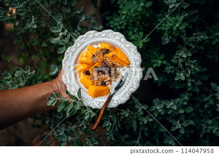 Mango yogurt in a white plate Mango yogurt in a white plate 114047958