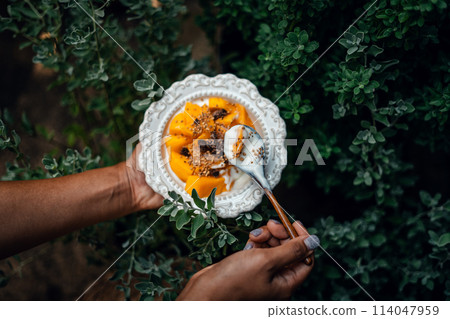 Mango yogurt in a white plate Mango yogurt in a white plate 114047959