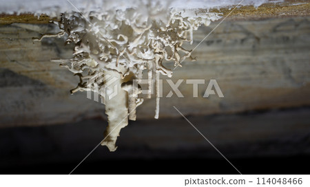 Unique Stalactite Formation in Cave Illuminated by Soft Light Unique Stalactite Formation in Cave Illuminated by Soft Light 114048466
