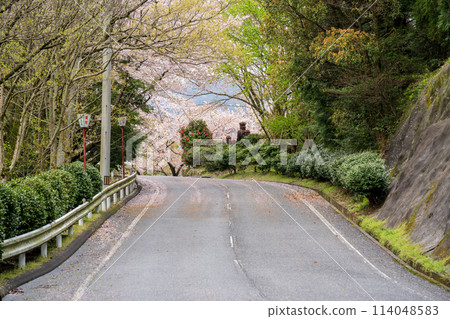 旭山森林公園 香川縣三豐市 114048583