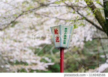 Asahiyama Forest Park Mitoyo City Kagawa Prefecture 114048586