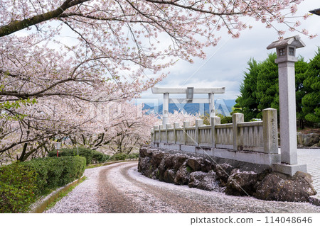 伊勢旭山本宮旭山森林公園 香川縣三豐市 114048646