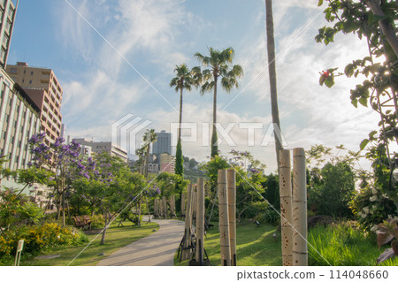 Jacaranda trees in full bloom under a blue sky on the Jacaranda Promenade in Atami City 114048660