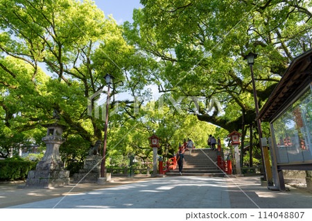 Dazaifu Tenmangu Shrine (temporary shrine) undergoing renovation work on the main shrine in Fukuoka Prefecture 114048807