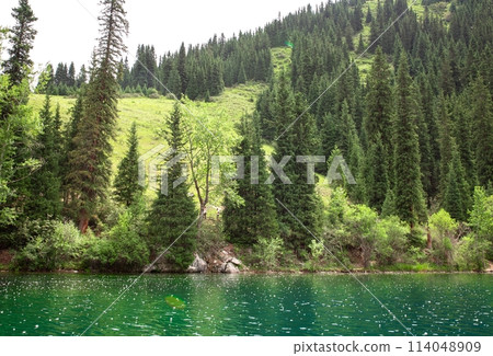 Green coniferous trees grow on the shore of the lake under a cloudy sky. The water surface shimmers in the foreground Green coniferous trees grow on the shore of the lake under a cloudy sky. The water surface shimmers in the foreground 114048909