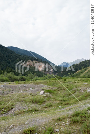 Green valley with distant mountains, cloudy sky. Grass, moss, trees, snow on mountains, light blue sky with clouds. Green valley with distant mountains, cloudy sky. Grass, moss, trees, snow on mountains, light blue sky with clouds. 114048917