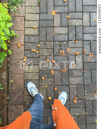 Blue sneakers on a stone floor with yellow plums 114049053
